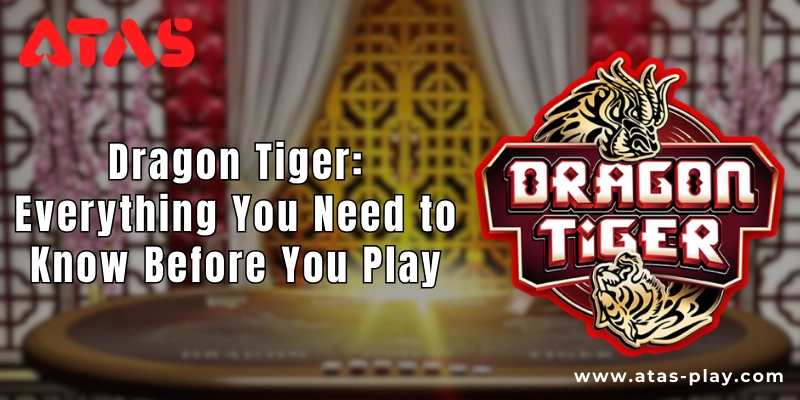 Dragon Tiger for Beginners